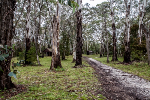 Pinnicale Reserve